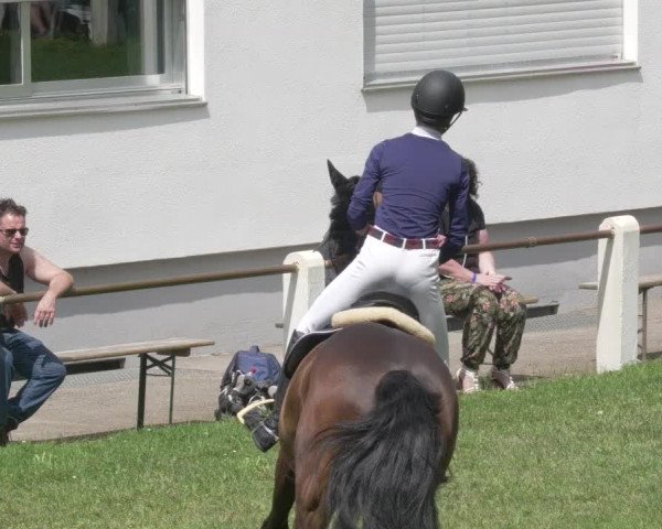 Sommerturnier Waghäusel-Wiesental mit Nordbadischen Springmeisterschaften 2021