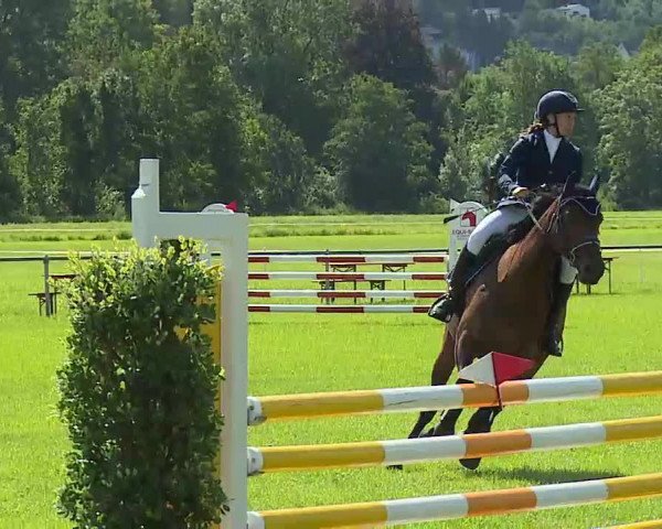 Rakoczy-Reitturnier Bad Kissingen 2021