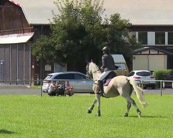 Rakoczy-Reitturnier Bad Kissingen 2021