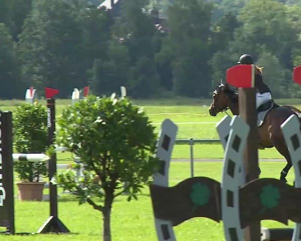 Rakoczy-Reitturnier Bad Kissingen 2021