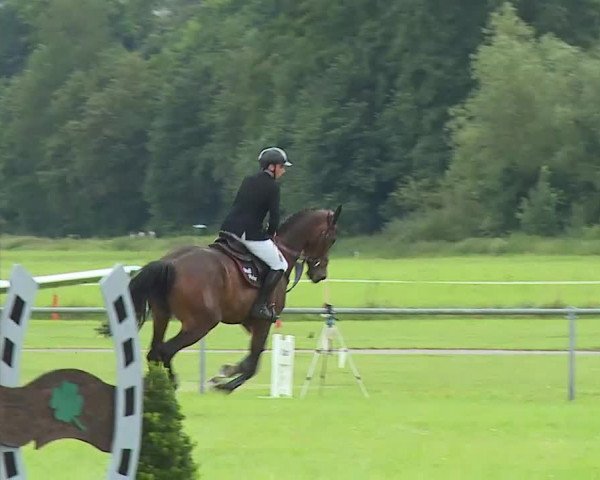 Rakoczy-Reitturnier Bad Kissingen 2021