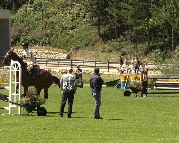 Sommer Concourse Hippique in St. Moritz 2021