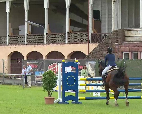 Rakoczy-Reitturnier Bad Kissingen 2021