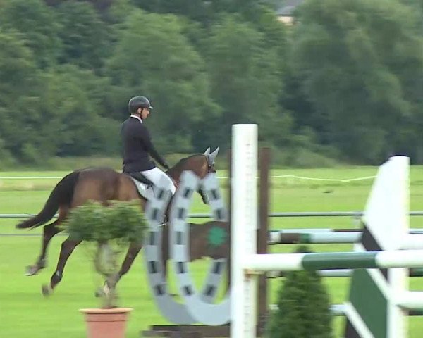 Rakoczy-Reitturnier Bad Kissingen 2021