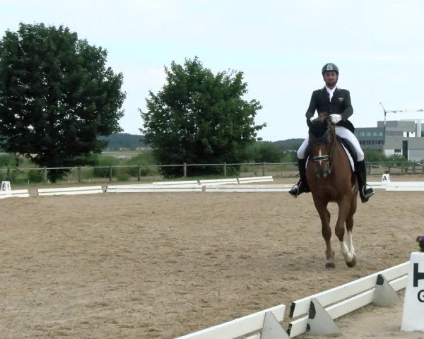 Reitturnier Biberach/Riß 2021