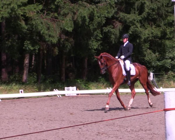 Reitturnier Kellinghusen 2021