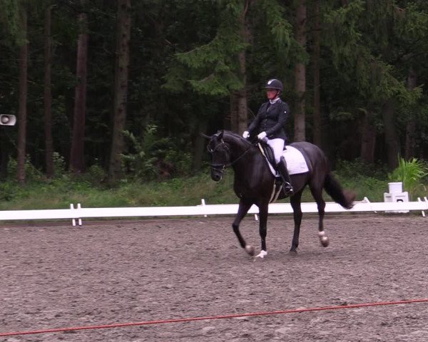 Reitturnier Kellinghusen 2021