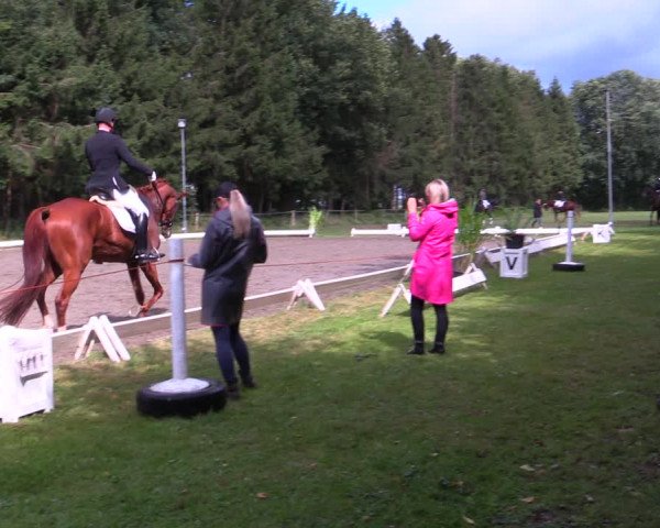 Reitturnier Kellinghusen 2021