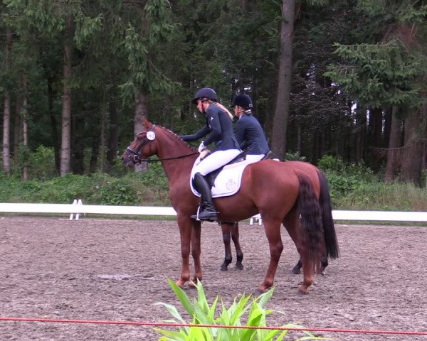 Reitturnier Kellinghusen 2021