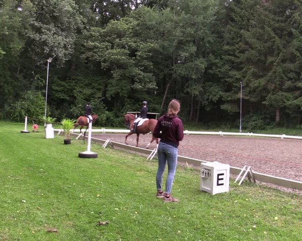 Reitturnier Kellinghusen 2021