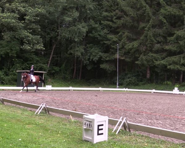 Reitturnier Kellinghusen 2021