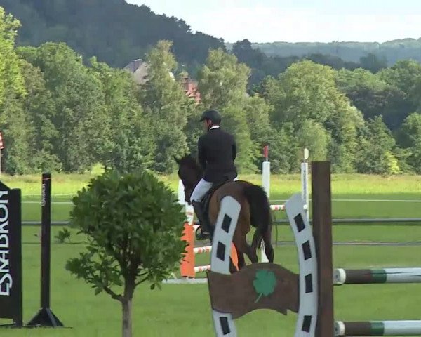 Rakoczy-Reitturnier Bad Kissingen 2021