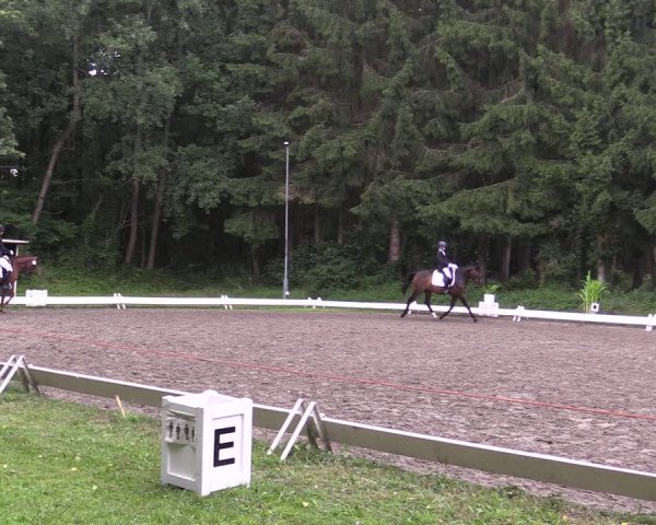 Reitturnier Kellinghusen 2021
