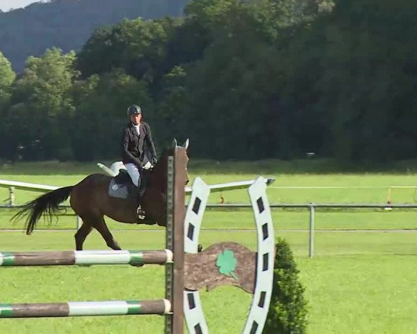 Rakoczy-Reitturnier Bad Kissingen 2021