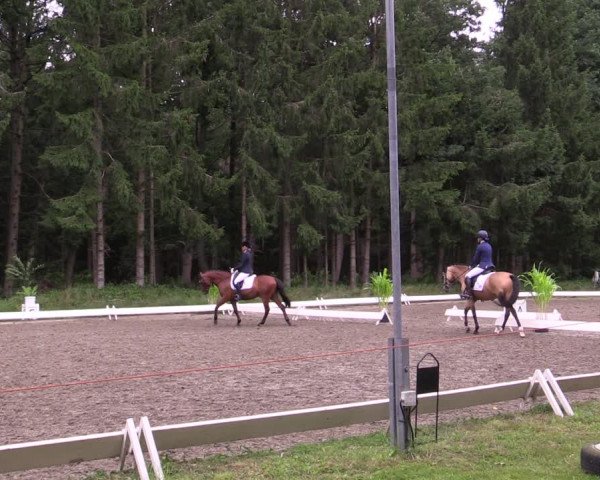 Reitturnier Kellinghusen 2021
