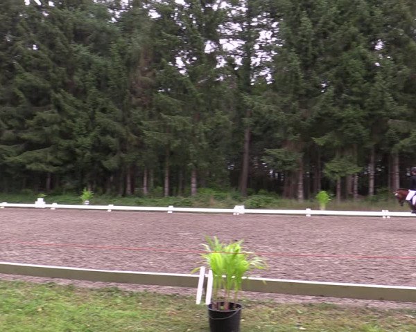 Reitturnier Kellinghusen 2021