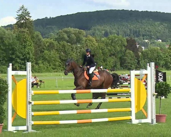 Rakoczy-Reitturnier Bad Kissingen 2021