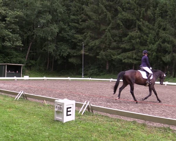 Reitturnier Kellinghusen 2021