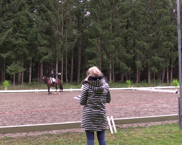 Reitturnier Kellinghusen 2021