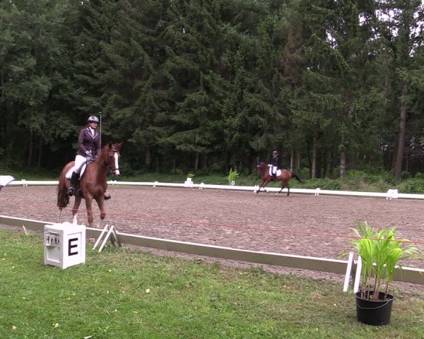 Reitturnier Kellinghusen 2021