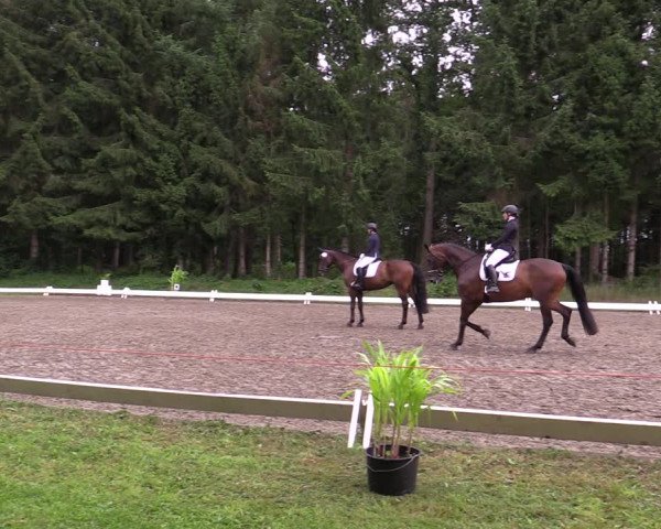Reitturnier Kellinghusen 2021