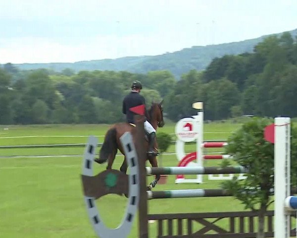 Rakoczy-Reitturnier Bad Kissingen 2021