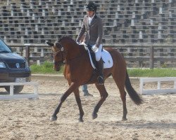 broodmare Aida 183 (German Sport Horse, 2010, from Rio Tejo)