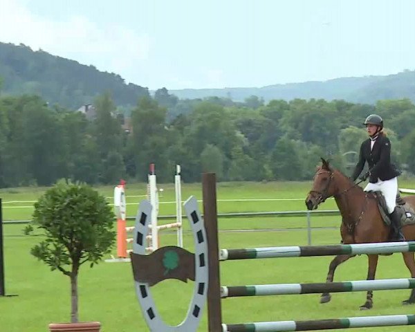 Rakoczy-Reitturnier Bad Kissingen 2021