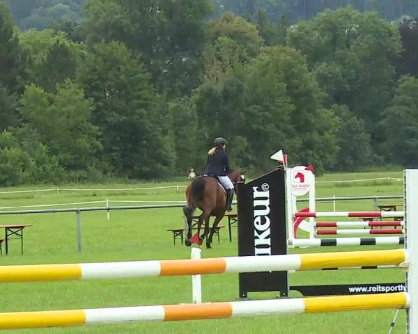 Rakoczy-Reitturnier Bad Kissingen 2021
