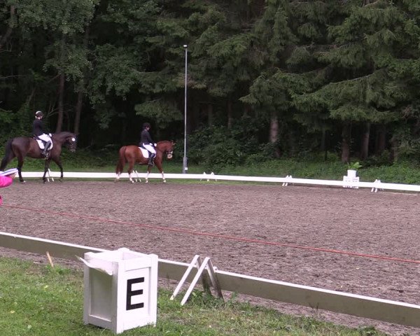 Reitturnier Kellinghusen 2021