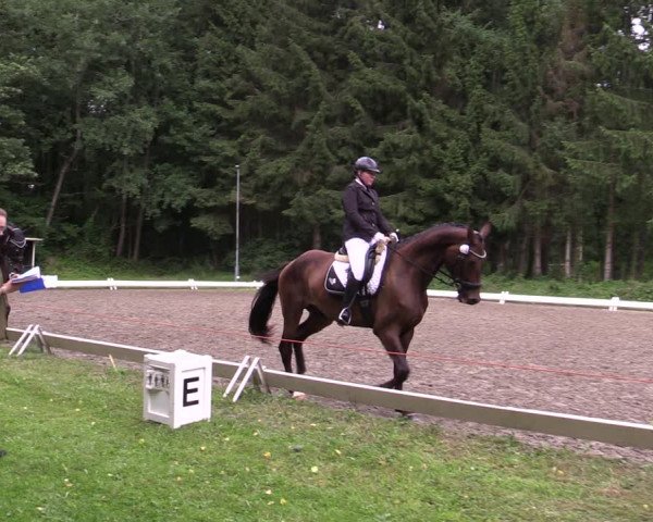 Reitturnier Kellinghusen 2021