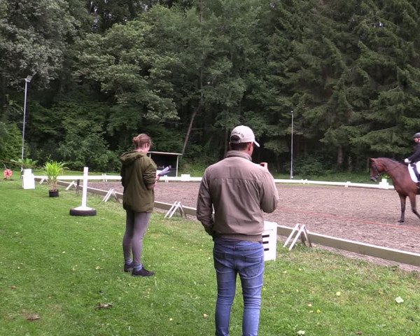 Reitturnier Kellinghusen 2021