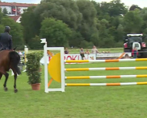 Rakoczy-Reitturnier Bad Kissingen 2021