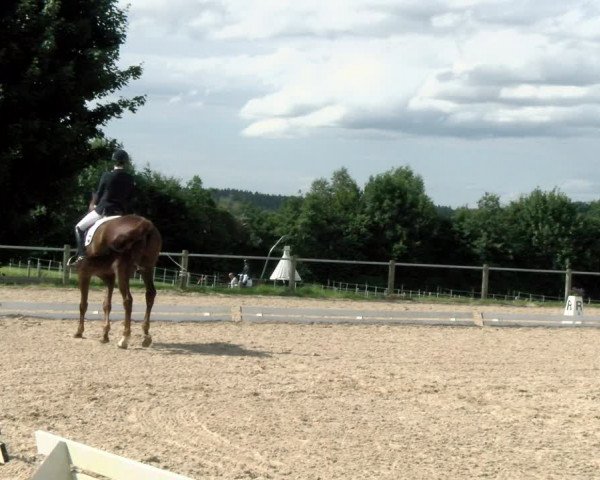 Reitturnier Biberach/Riß 2021