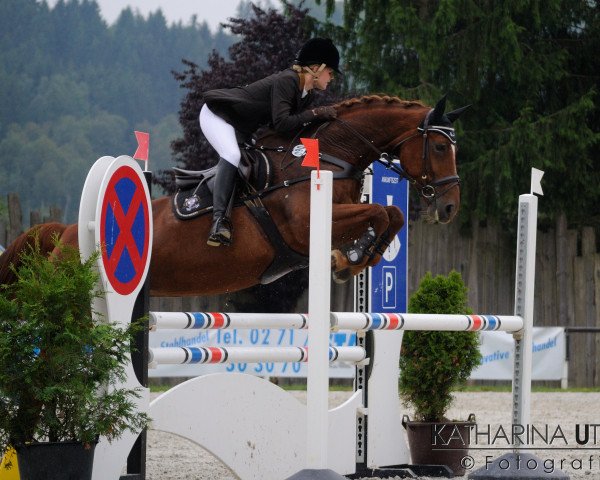 broodmare Cinderella 493 (Westphalian, 2001, from Cantonius)