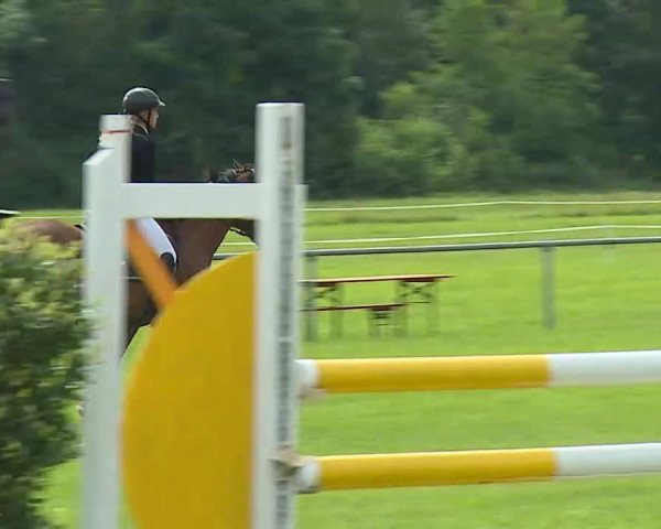 Rakoczy-Reitturnier Bad Kissingen 2021