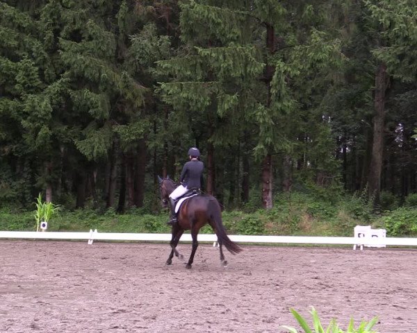 Reitturnier Kellinghusen 2021