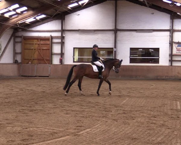 Reitturnier Kellinghusen 2021
