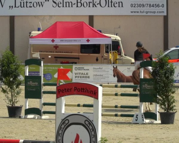 Pony- und Juniorenturnier Olfen 2021