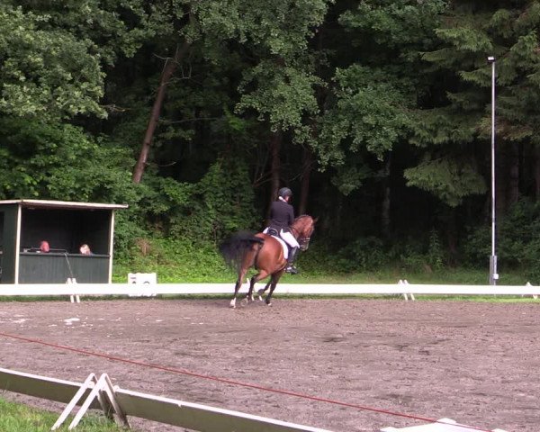 Reitturnier Kellinghusen 2021