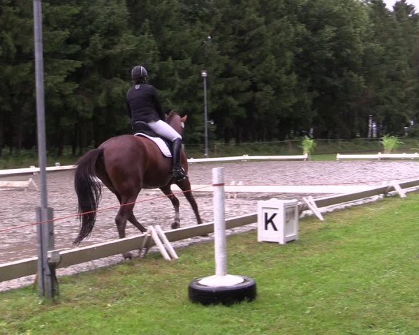 Reitturnier Kellinghusen 2021