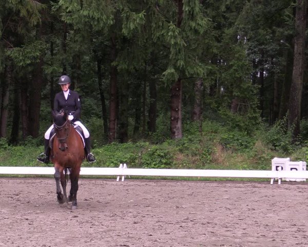 Reitturnier Kellinghusen 2021