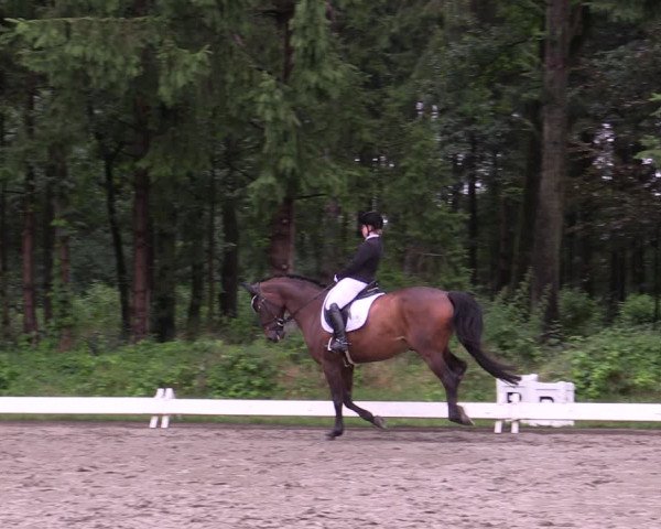 Reitturnier Kellinghusen 2021