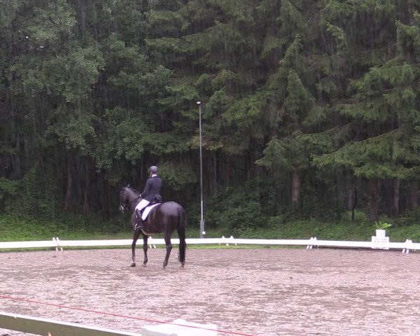 Reitturnier Kellinghusen 2021
