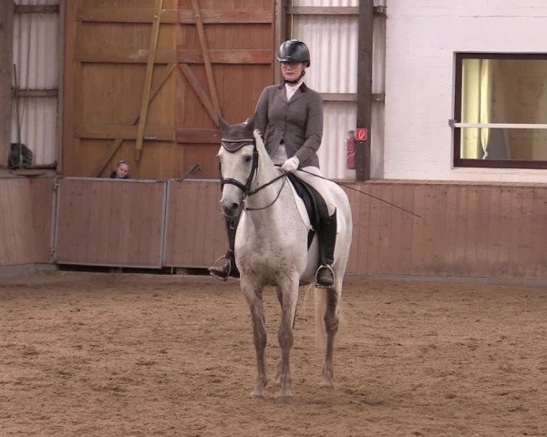 Reitturnier Kellinghusen 2021