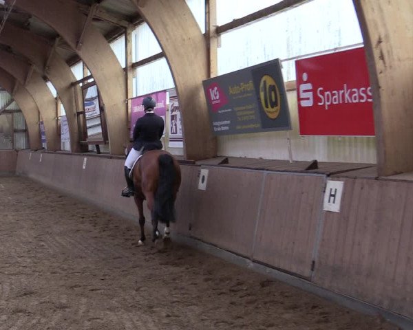 Reitturnier Kellinghusen 2021