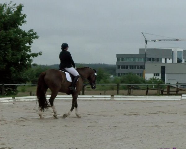 Reitturnier Biberach/Riß 2021