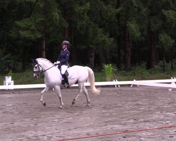 Reitturnier Kellinghusen 2021
