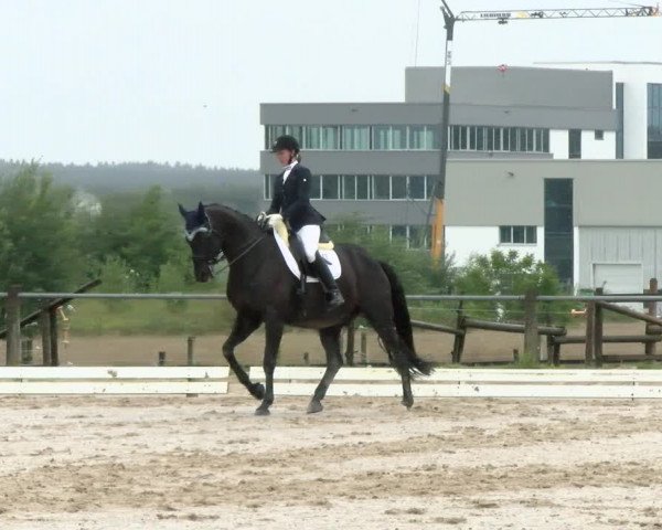 Reitturnier Biberach/Riß 2021