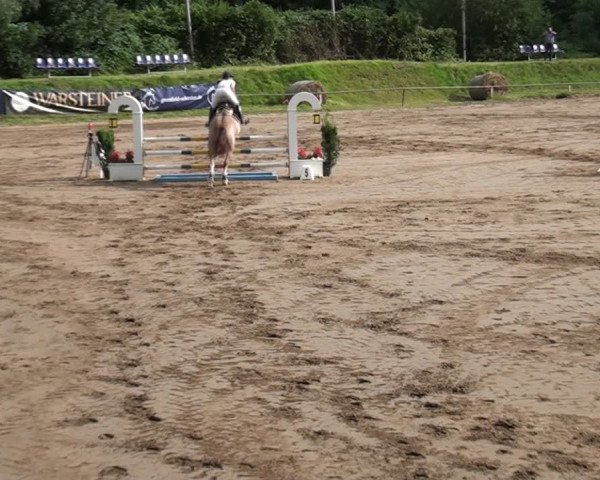 Reitturnier und Kreismeisterschaften Neuss-Uedesheim 2021